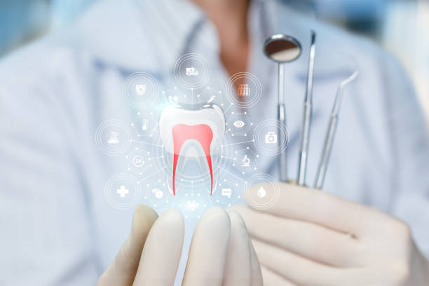 Best Dental Exams and Cleanings  in Cold Spring Harbor, NY